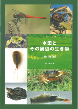 水田とその周辺の生き物